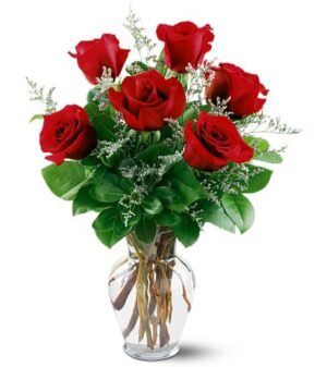 1/2 Dozen Roses
