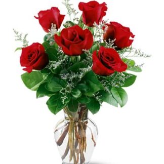 1/2 Dozen Roses