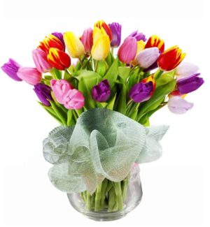 30 Stem Tulips in a Vase