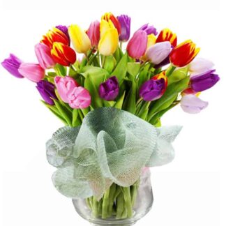 30 Stem Tulips in a Vase