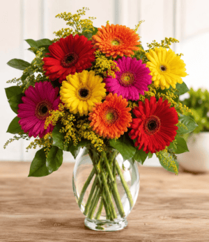 Gerbera Arrangement