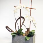 Faux Orchid Botanical