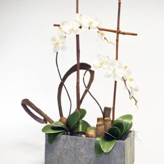 Faux Orchid Botanical