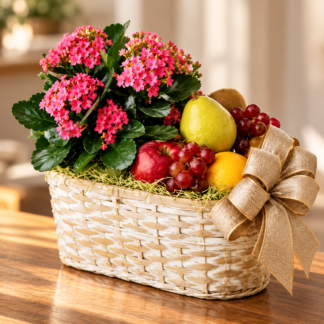Fruit and Plant