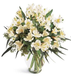 Alstromeria in a Vase