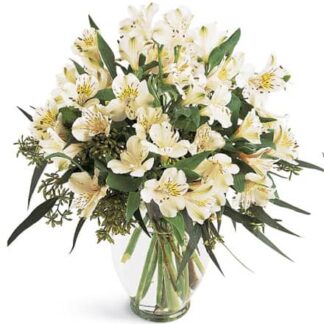 Alstromeria in a Vase