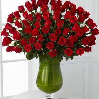 Attraction 72 Luxury Roses