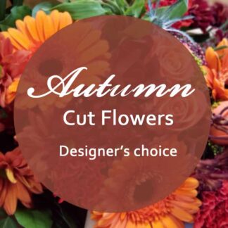 Autumn Cut flowers, Designer's choice
