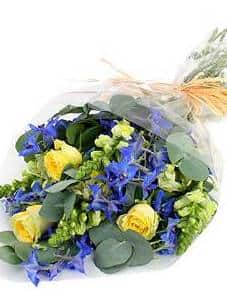 Baby Blue Bouquet