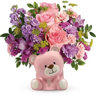 Baby Girl Arrival Bear