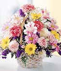 Basket Arrangement