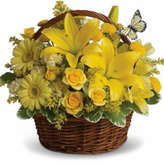 Basket Full of Wishes
