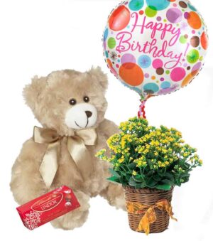Bear Balloon & Plant