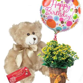 Bear Balloon & Plant
