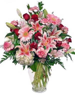 Blooming Stargazers
