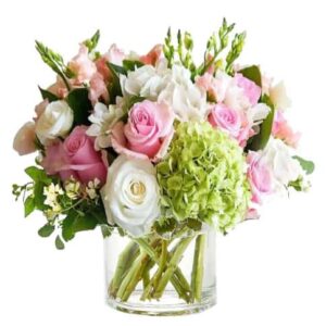 Blushing Petals