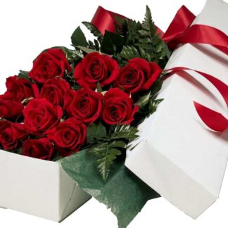 Boxed Dozen Roses