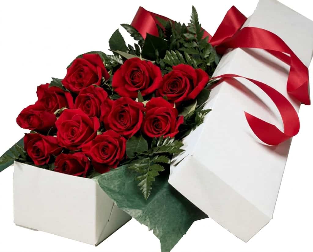 Boxed Dozen Roses