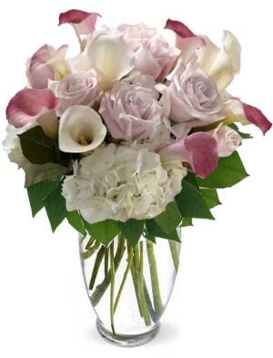 Calla dreams