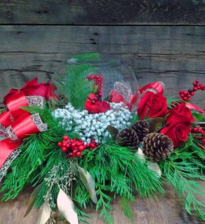 Cardinal snowglobe