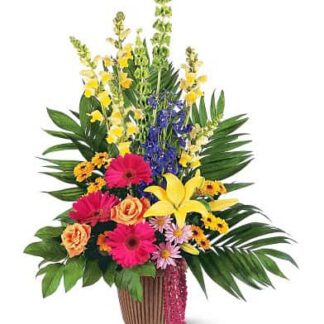 Celebration of Life
