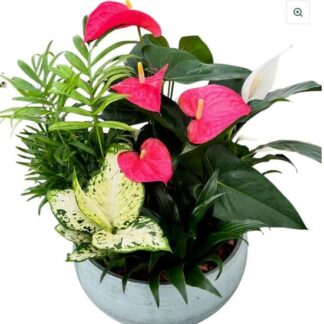 Ceramic Planter