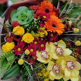 Cymbidium Autumn Bouquet