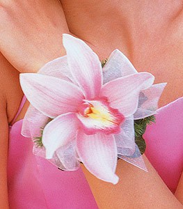 Cymbidium Orchid Wristlet