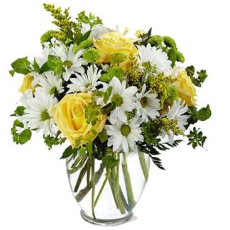 Dashing Daisies