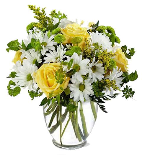 Dashing Daisies