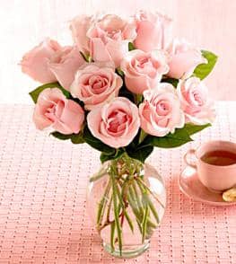 Dozen Roses in a Vase