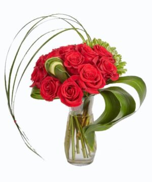 Elegant Dozen roses