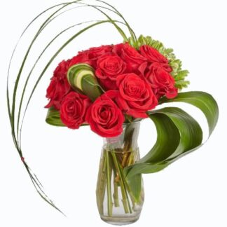 Elegant Dozen roses
