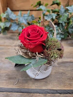 Eternal Valentine Rose