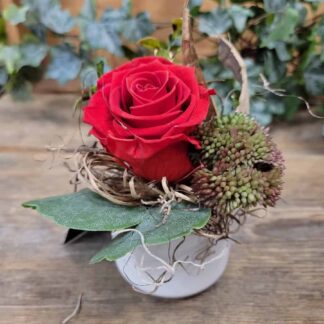 Eternal Valentine Rose