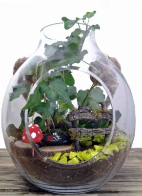 Fairy Gardens