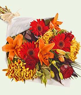 Fall Presentation