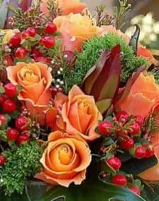Fall Roses