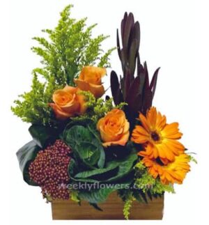 Fall Treasure Box