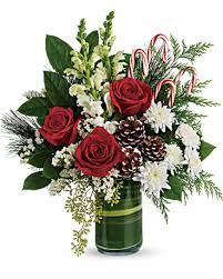 Festive Pines Arrangement