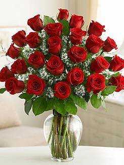 Forever Yours Roses with Baby's Breath