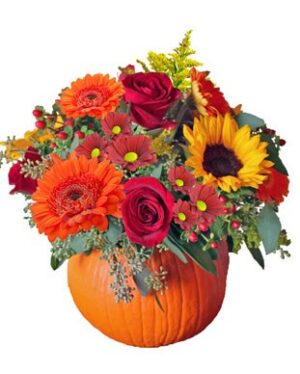 Fresh Pumpkin Arrangement!