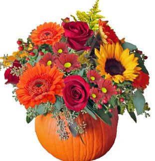 Fresh Pumpkin Arrangement!