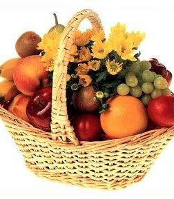 Fruit with Small Plant