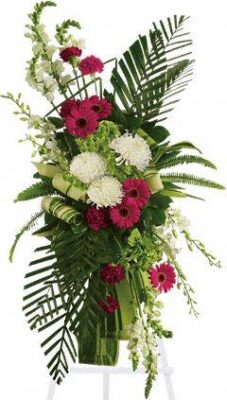 Gerberas and Palms Spray