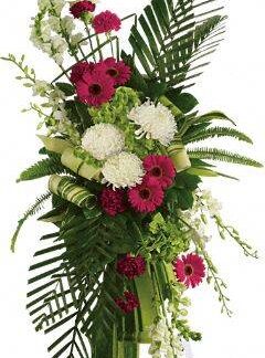 Gerberas and Palms Spray