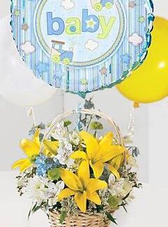 It's a Boy!