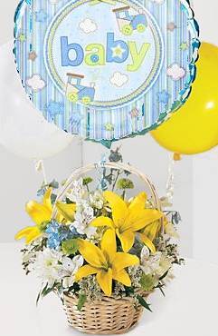 It's a Boy!