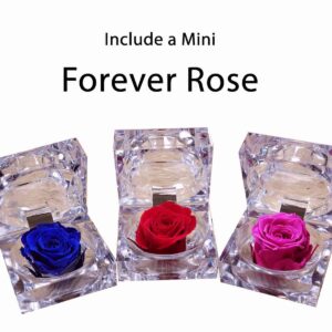 Jewelry Boxed Forever Rose