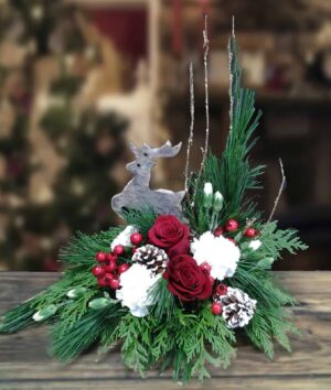 Jumping Reindeer